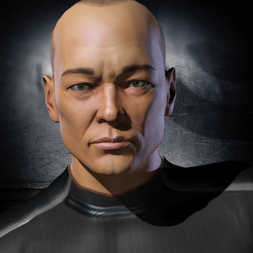 Tygrys XF portrait
