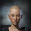 XinChen XinChen