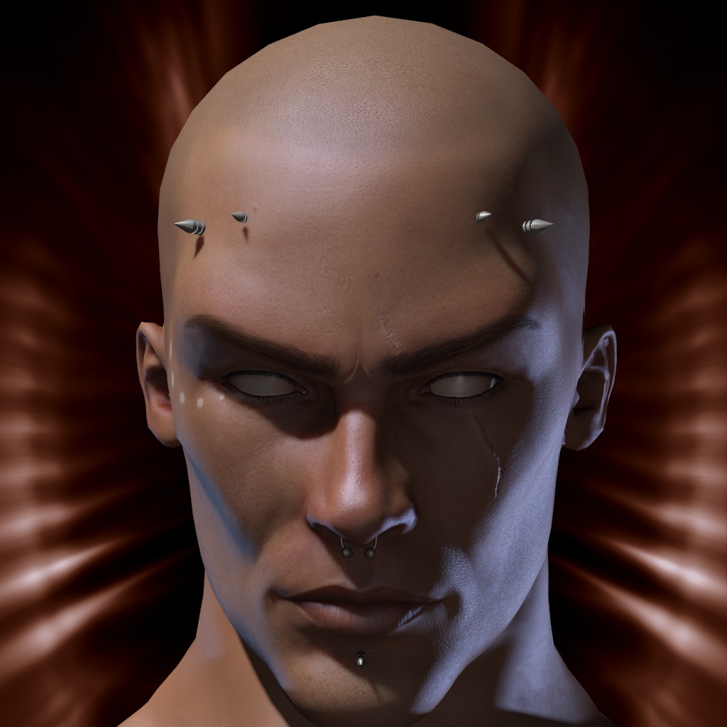 Krieg11