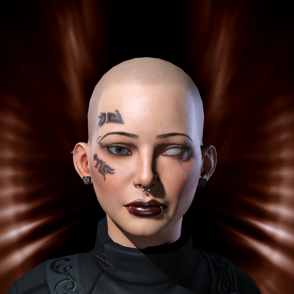 1 salesdrone