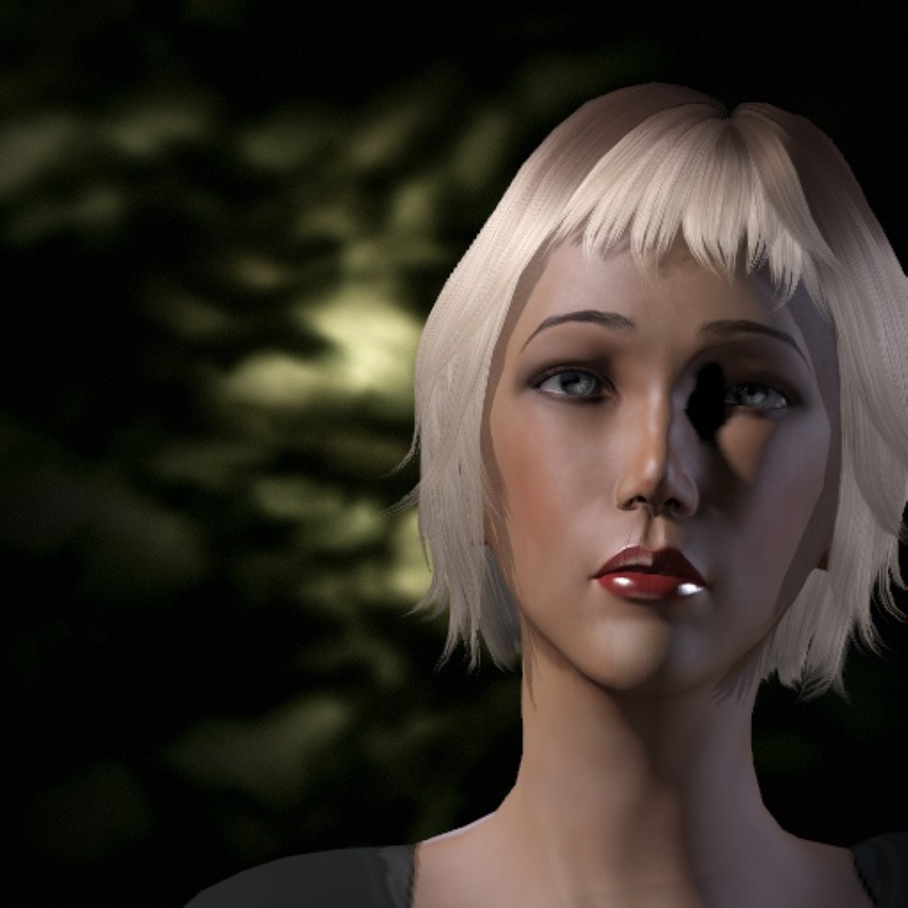 EndUser Licence Agreement