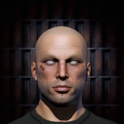 steveoo portrait