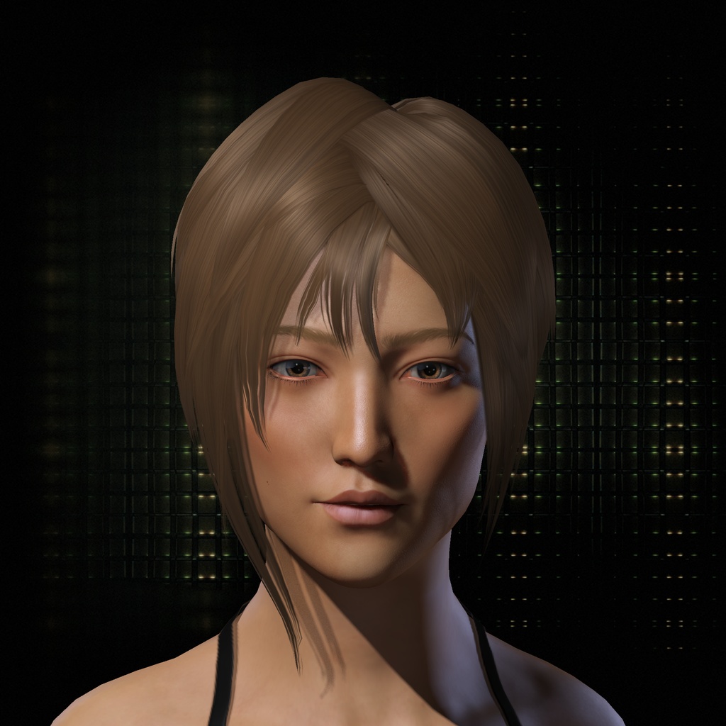 Steak Gravy Shiyurida