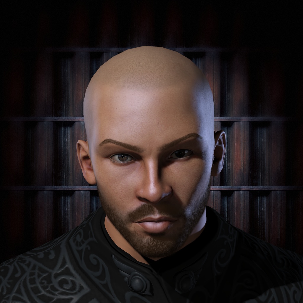 SIR SUICIDE