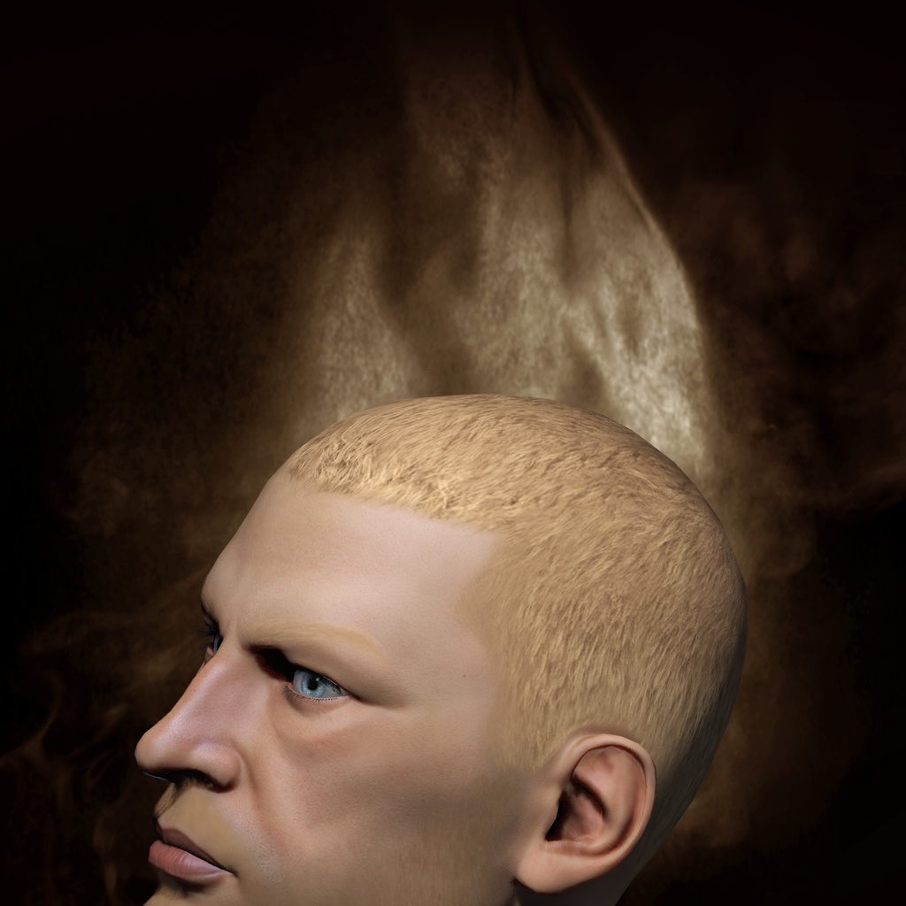 Smoke Head