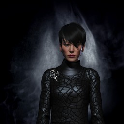 Videles Silenthunter portrait