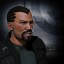 Gray DeathStalker Gray DeathStalker