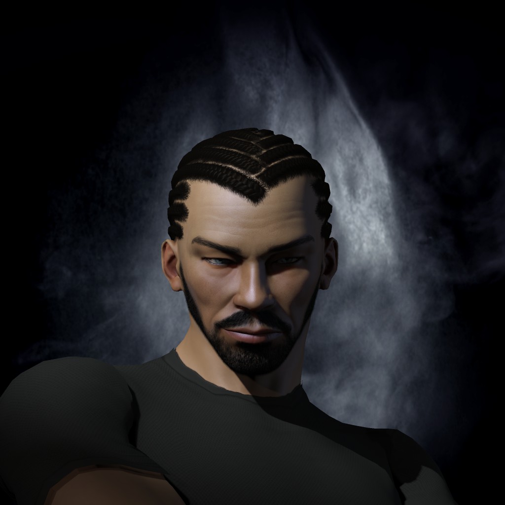 Sojourn Ronin