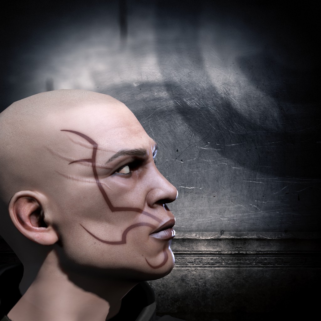Tyr Einherjer