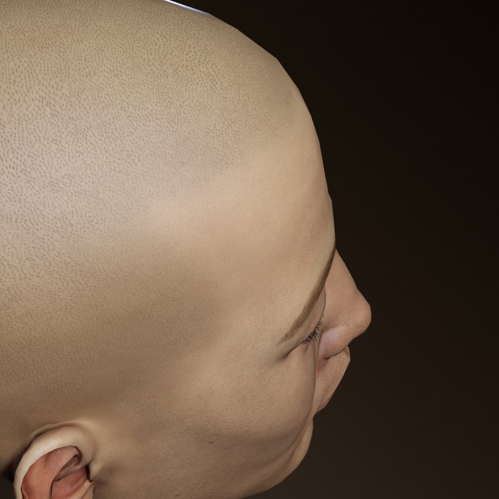omg guysgetthefug out