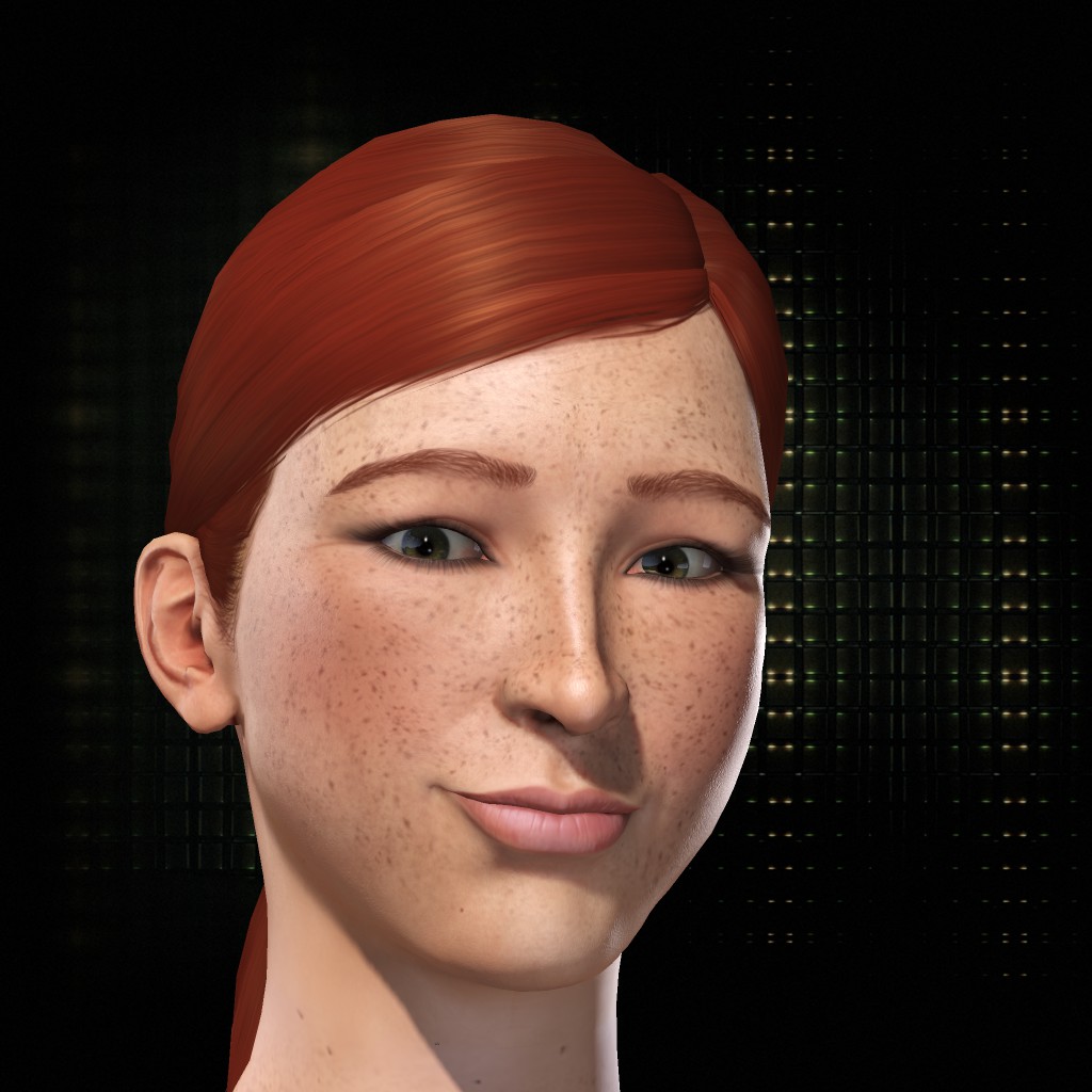 Ansa Summari