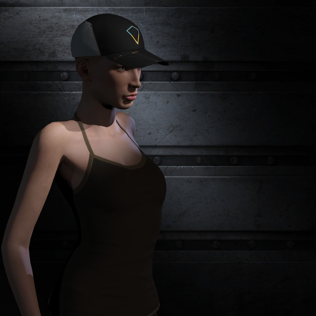 A Docking Pilot
