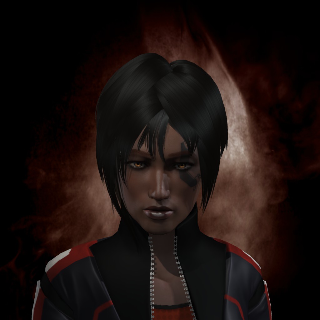 Redwidow of Netforce