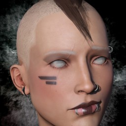 zibba xifan portrait