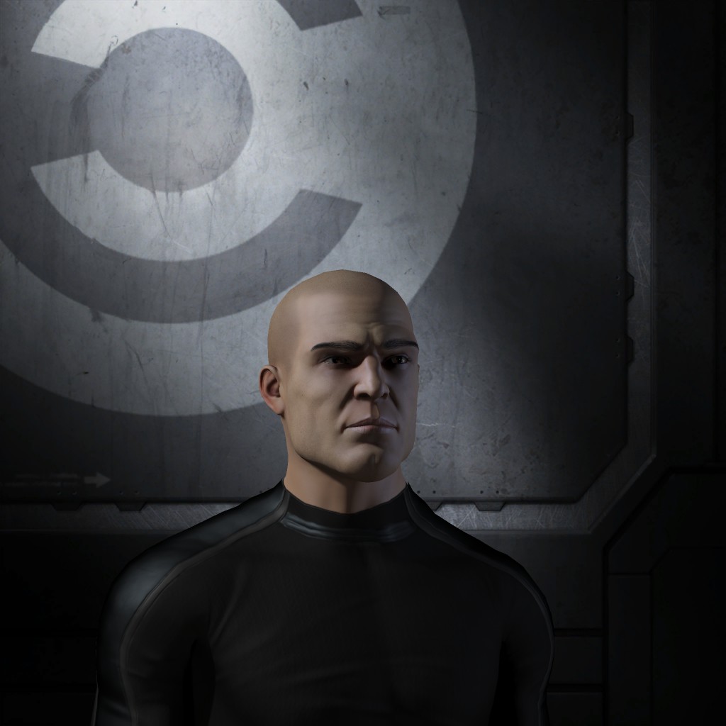 Steiner wolff