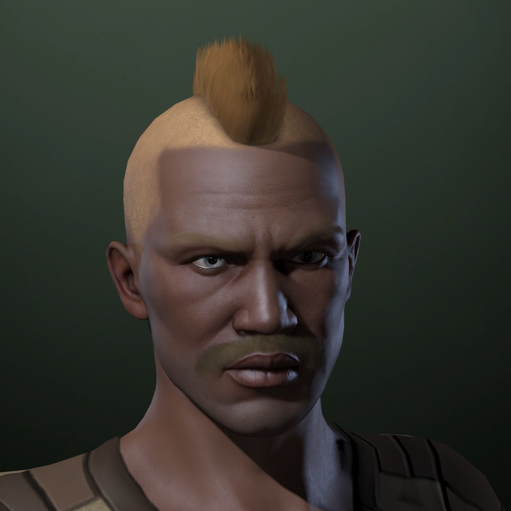 sten Skor