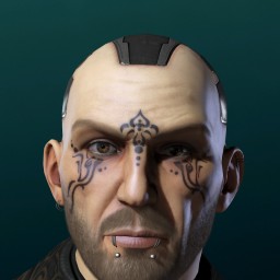 arsehair portrait