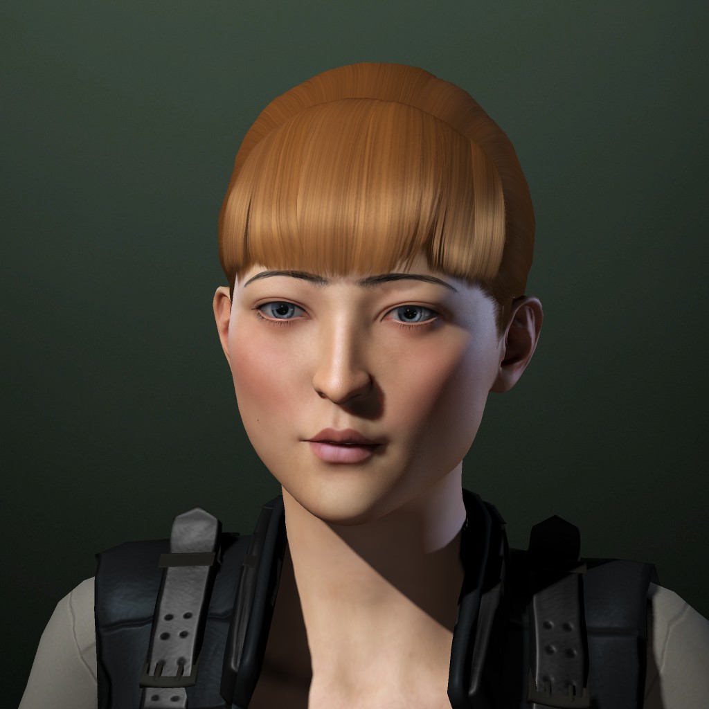 Akita XII