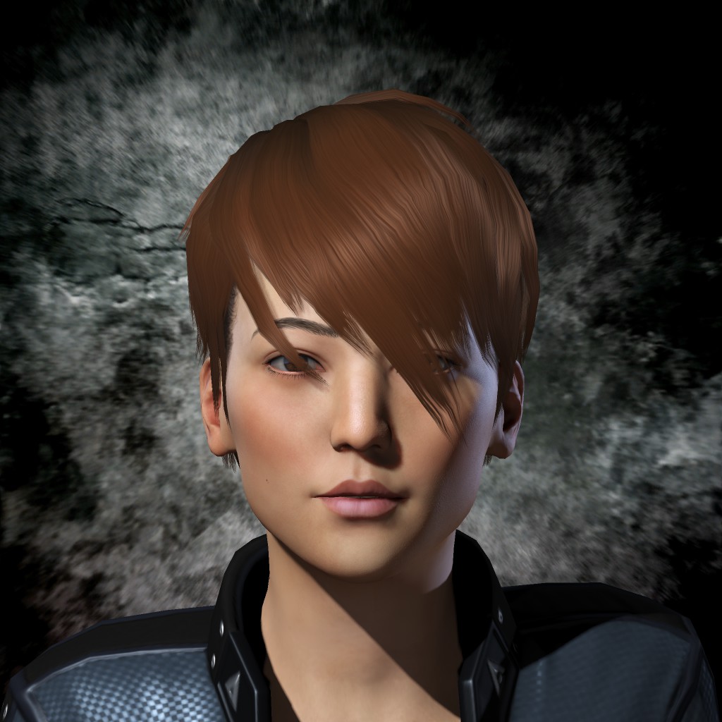 Akita XIII