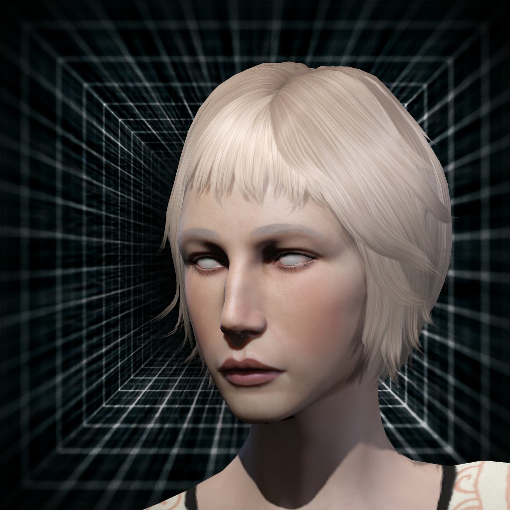 Horizon Stardust