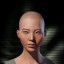 oricle delphi oricle delphi