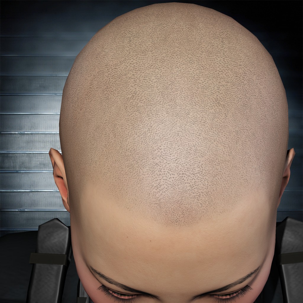 An Zhang portrait