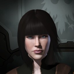 Fortress Ace portrait