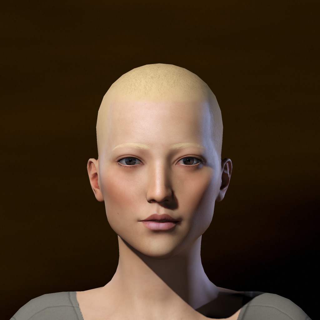 Artemis Shikkoken