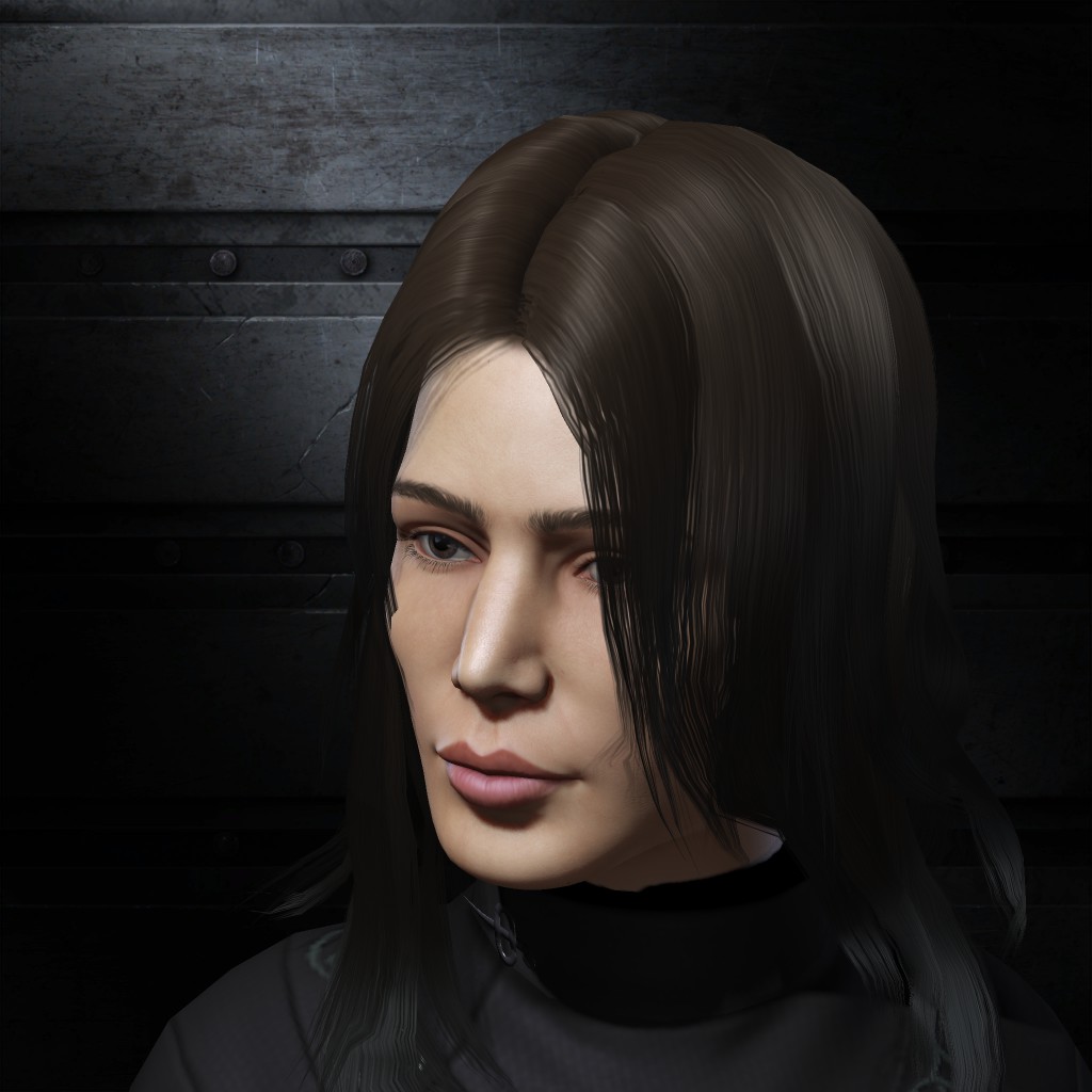 Vector Icestorm