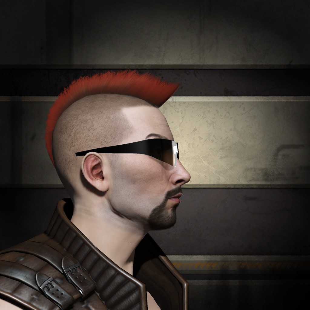 swarman Biker Force
