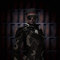 Elite Highsec PvP portrait