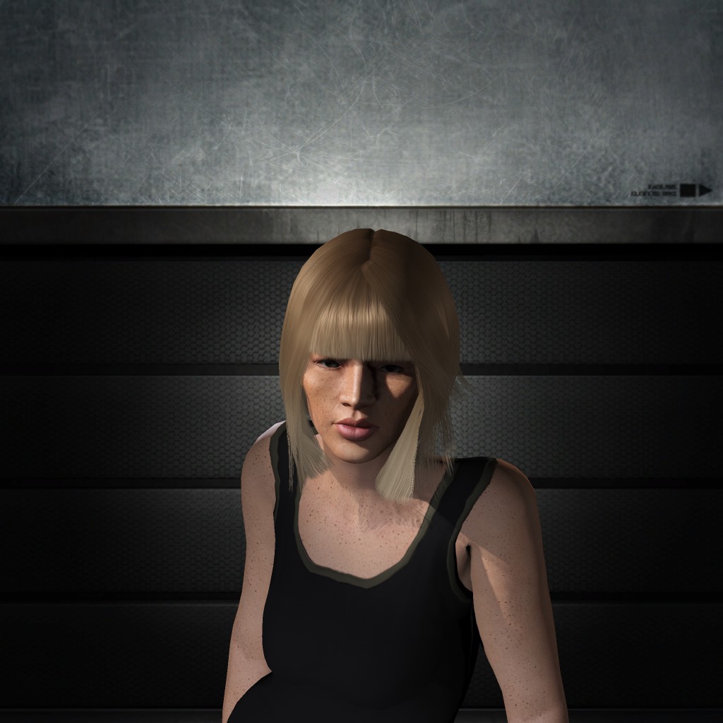 Chickenbread SalamiMayo