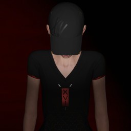 Lie Theory portrait