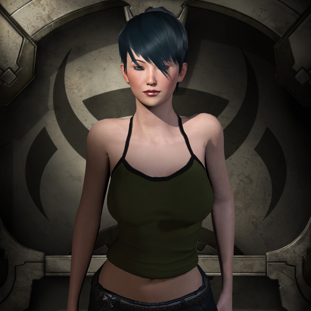 Toll Bridge StArnoux