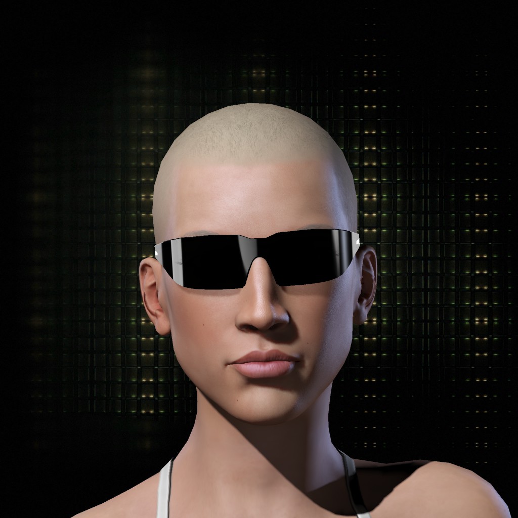 Deal WithIt Provisions