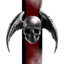 Fallen Wing