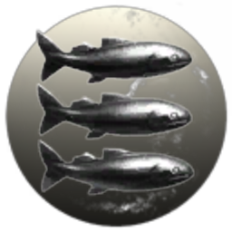 Dyslexic Carp