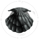 Coral Inc.