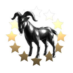 Capricorn Foundation
