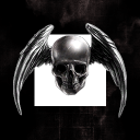 Extreme Intentions Inc.