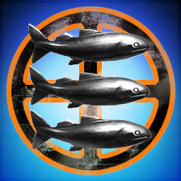 Fish Curtains