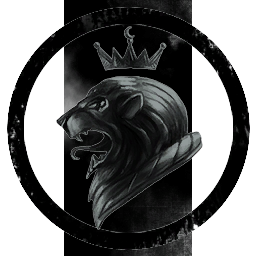 Rook Solutions