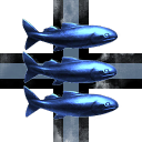 Dolphin Floggers