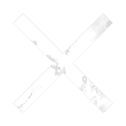 Permanent Revolution