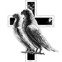 New Angels