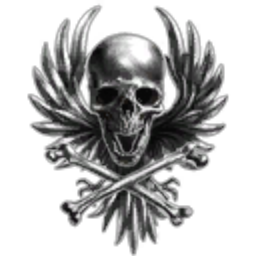 CALDARI REBEL NAVY logo