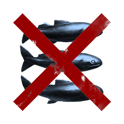 No Fish