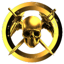 rangers of amarr