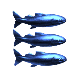 The Space Fish