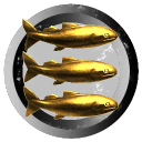 Sardinky ve Vesmiru